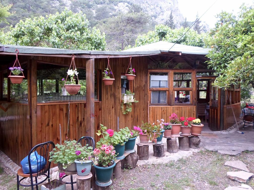 Çıralı Oran Pansiyon Agac Evler酒店 外观 照片