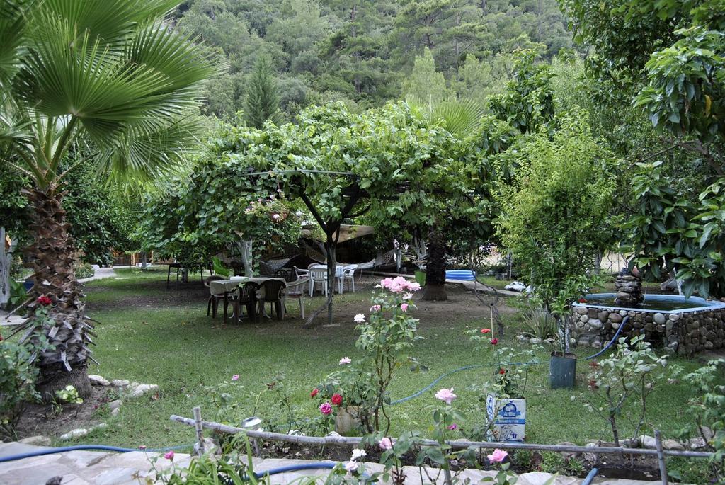 Çıralı Oran Pansiyon Agac Evler酒店 外观 照片